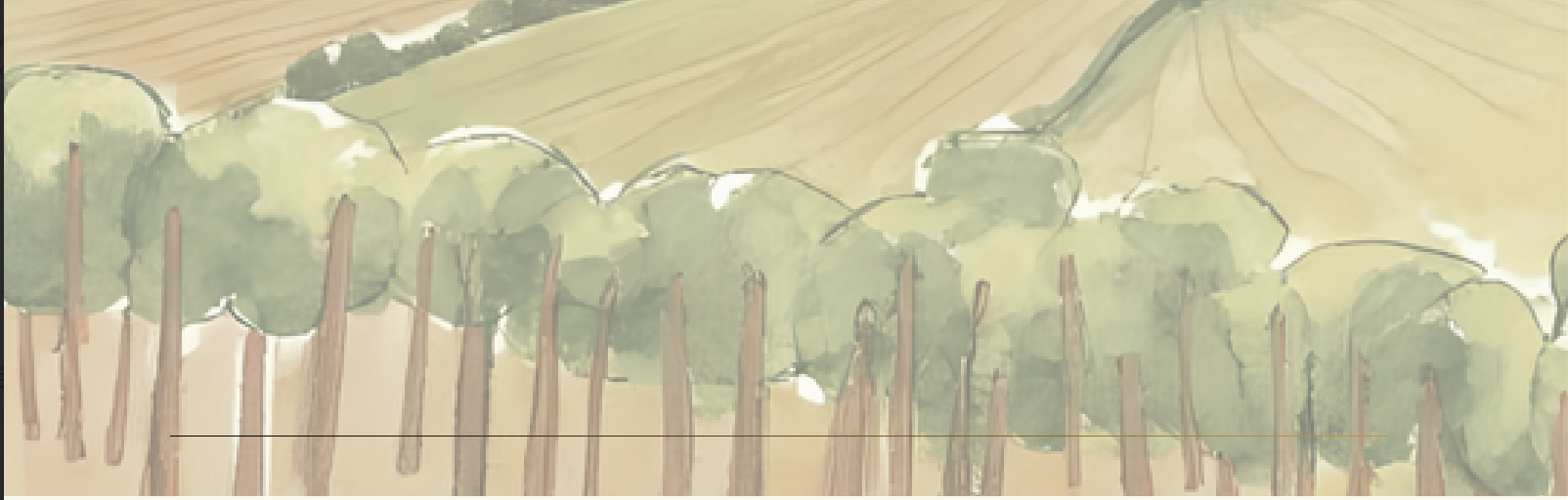 LES RENCONTRES DE LA COOPÉRATION ET DE LA RESPONSABILITÉ TERRITORIALE DES ENTREPRISES